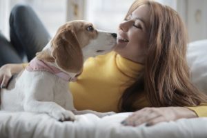 woman-in-yellow-turtle-neck-sweater-lying-with-white-and-3786784