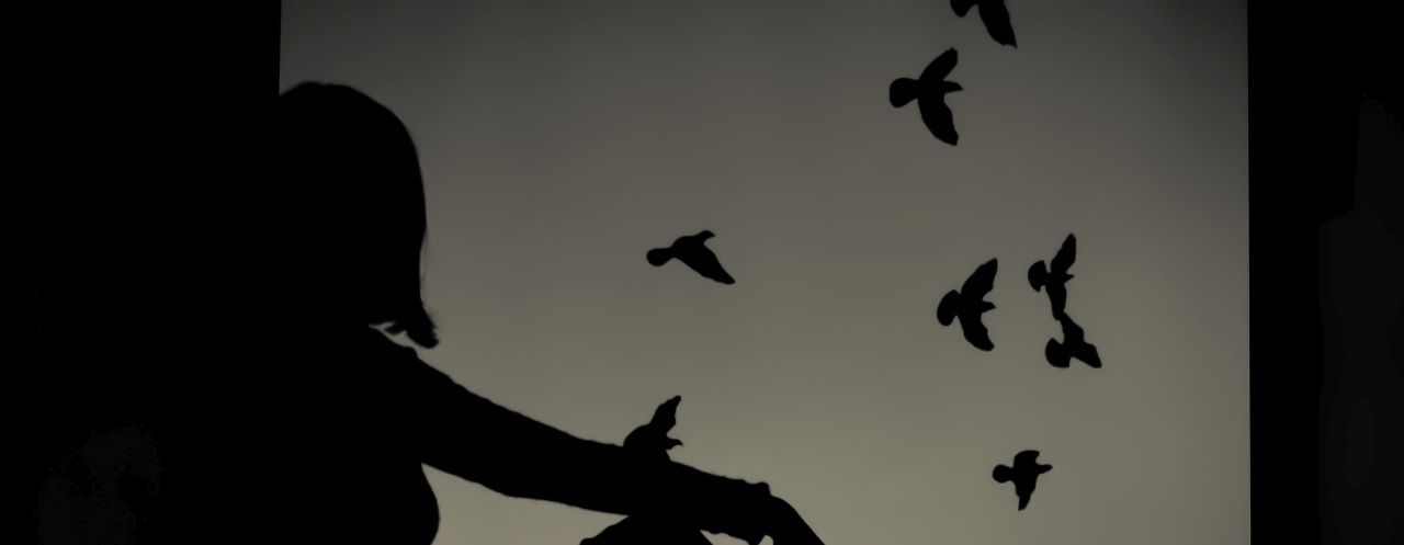 Vögel als spirituelle Boten: 5 Wege, auf denen sie mit uns kommunizieren