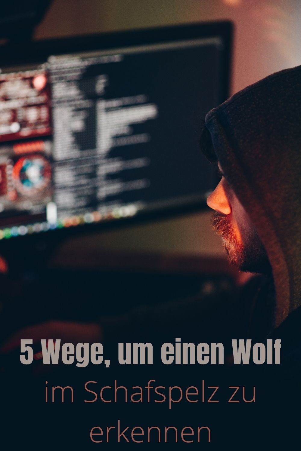 5-Wege-um-einen-Wolf-im-Schafspelz-zu-erkennen