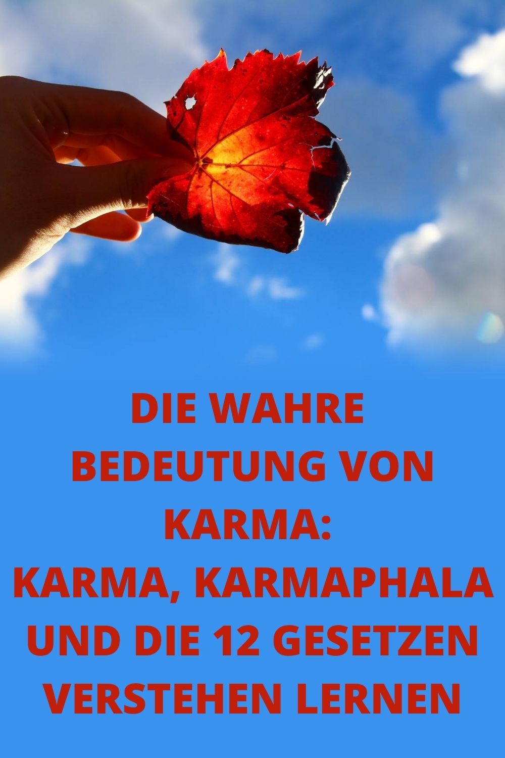 Die-wahre-Bedeutung-von-Karma-Karma-Karmaphala-und-die-12-Gesetzen-verstehen-lernen