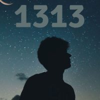 1313-Bedeutung