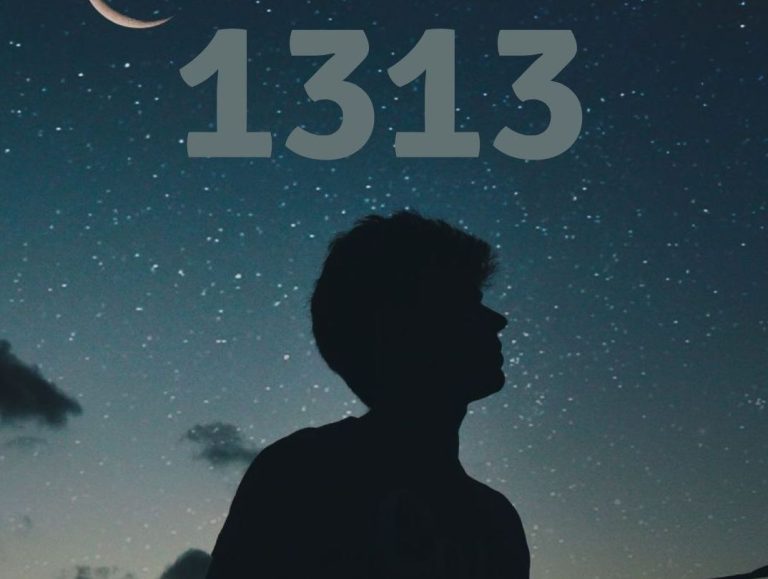 1313-Bedeutung