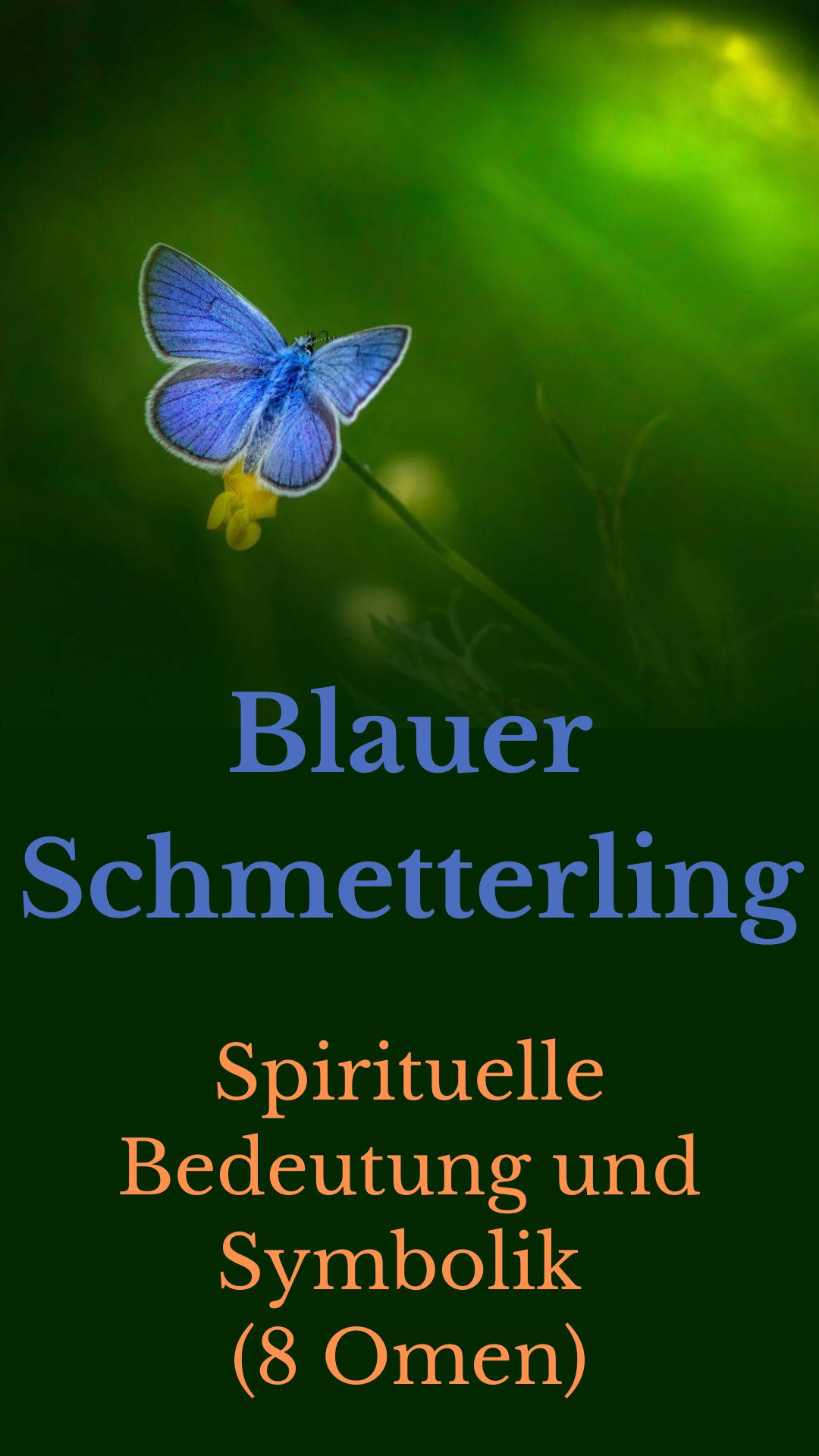 Blauer-Schmetterling-Spirituelle-Bedeutung-und-Symbolik-8-Omen