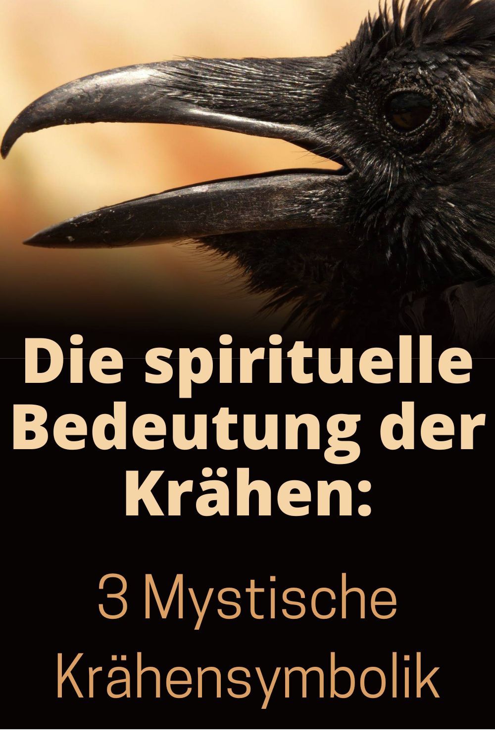 Die-spirituelle-Bedeutung-der-Kraehen-3-Mystische-Kraehensymbolik
