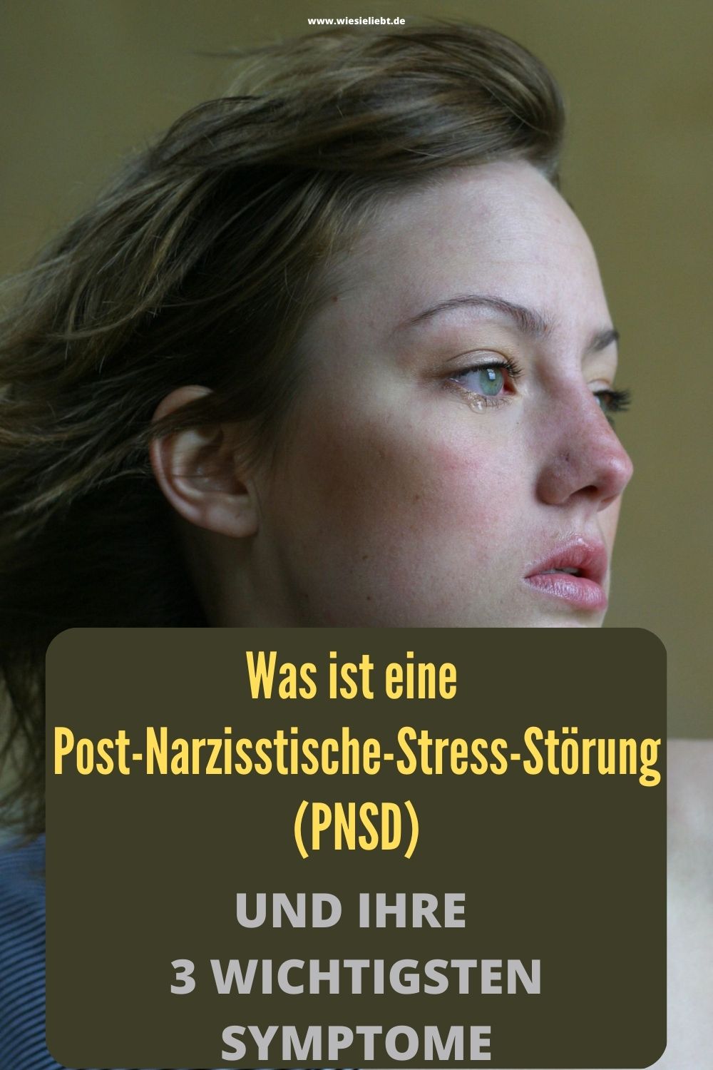 Was-ist-eine-Post-Narzisstische-Stress-Stoerung-PNSD-und-ihre-3-wichtigsten-Symptome