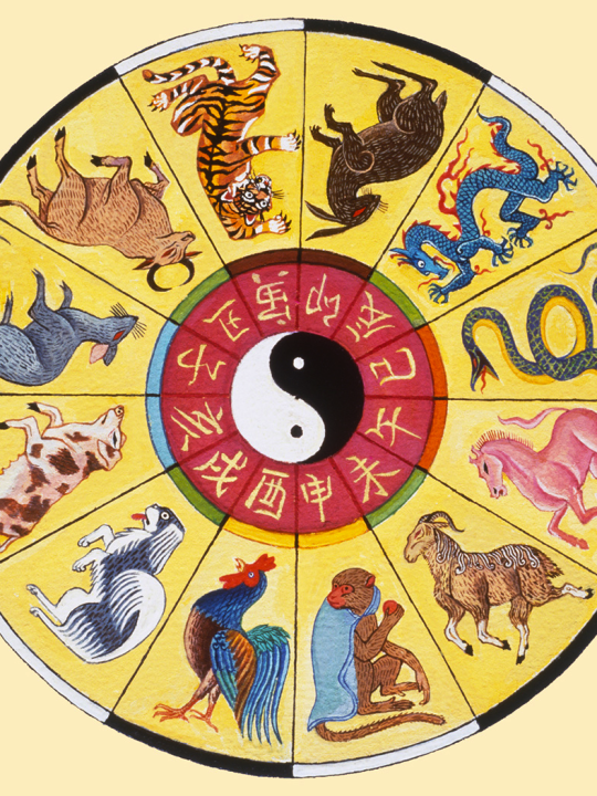 Chinesisches Horoskop 2023: Horoskop-Vorhersagen für chinesische Sternzeichen