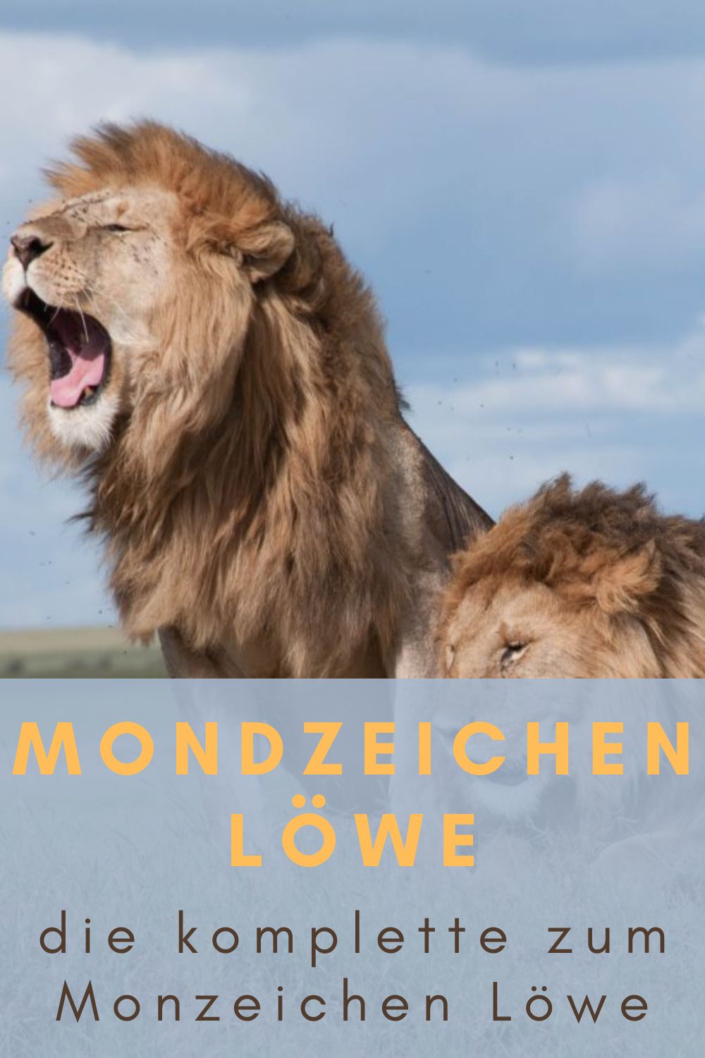 Mondzeichen-Loewe-die-komplette-zum-Monzeichen-Loewe