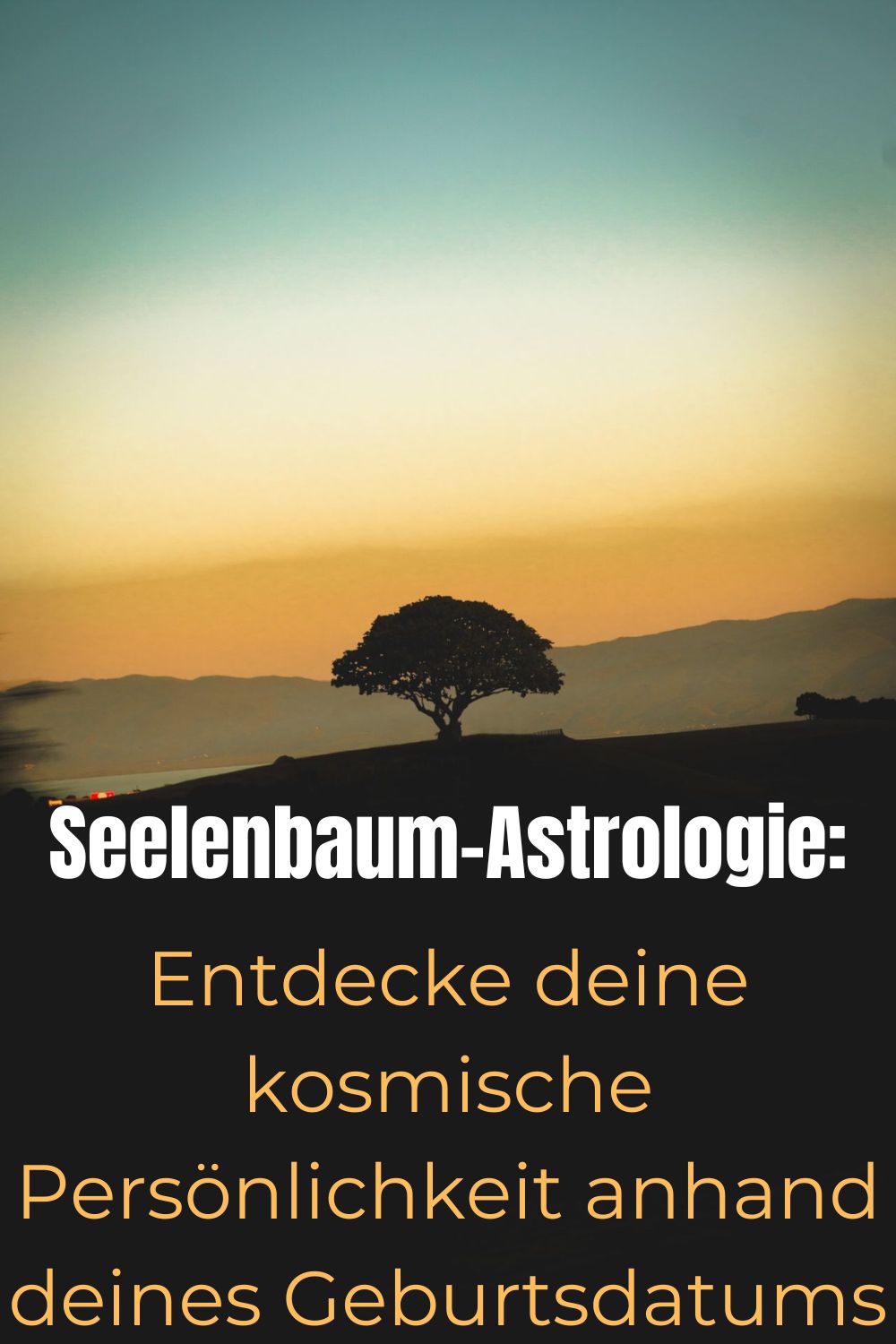 Seelenbaum-Astrologie-Entdecke-deine-kosmische-Persoenlichkeit-anhand-deines-Geburtsdatums