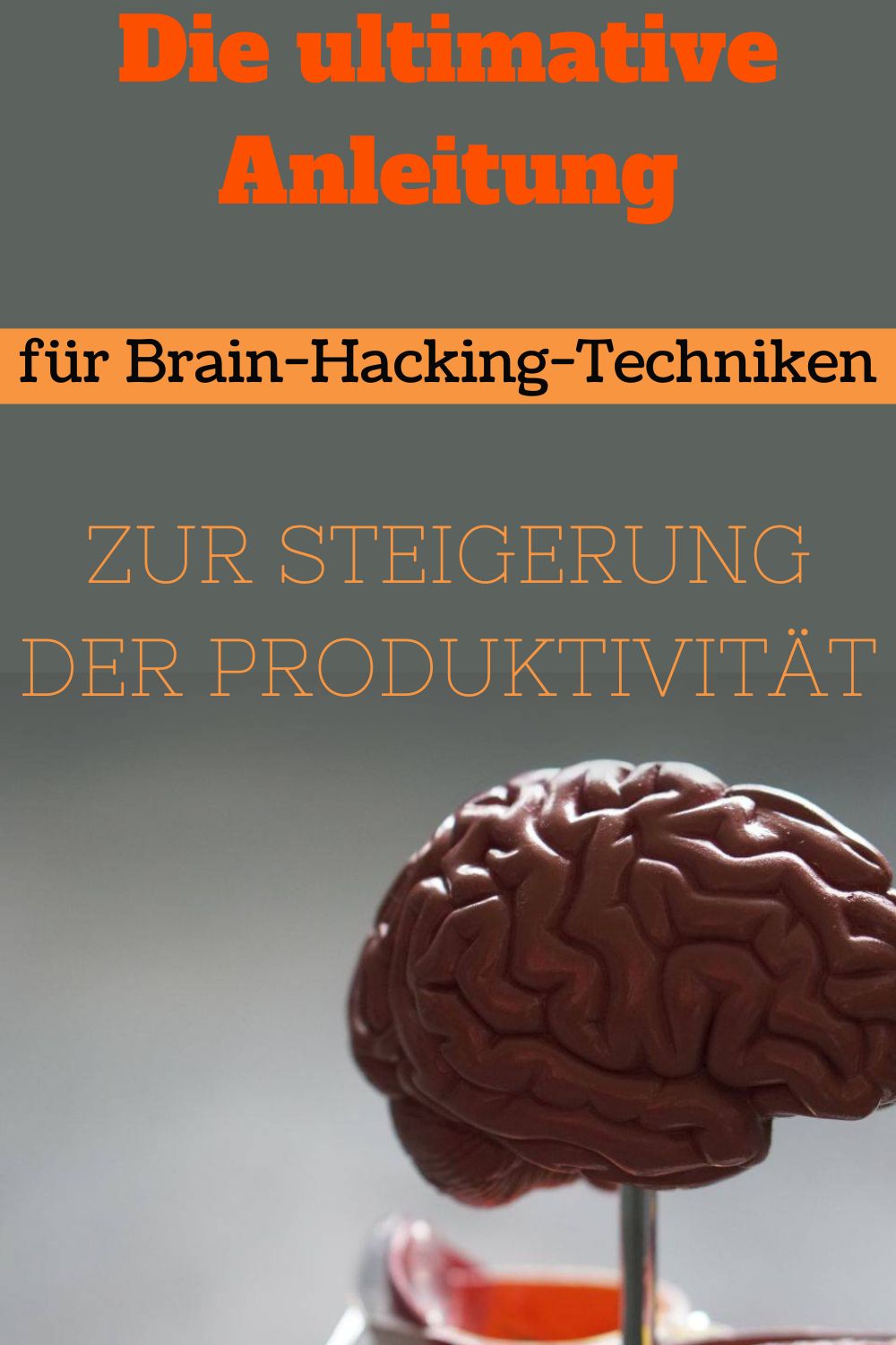 Die-ultimative-Anleitung-fuer-Brain-Hacking-Techniken-zur-Steigerung-der-Produktivitaet