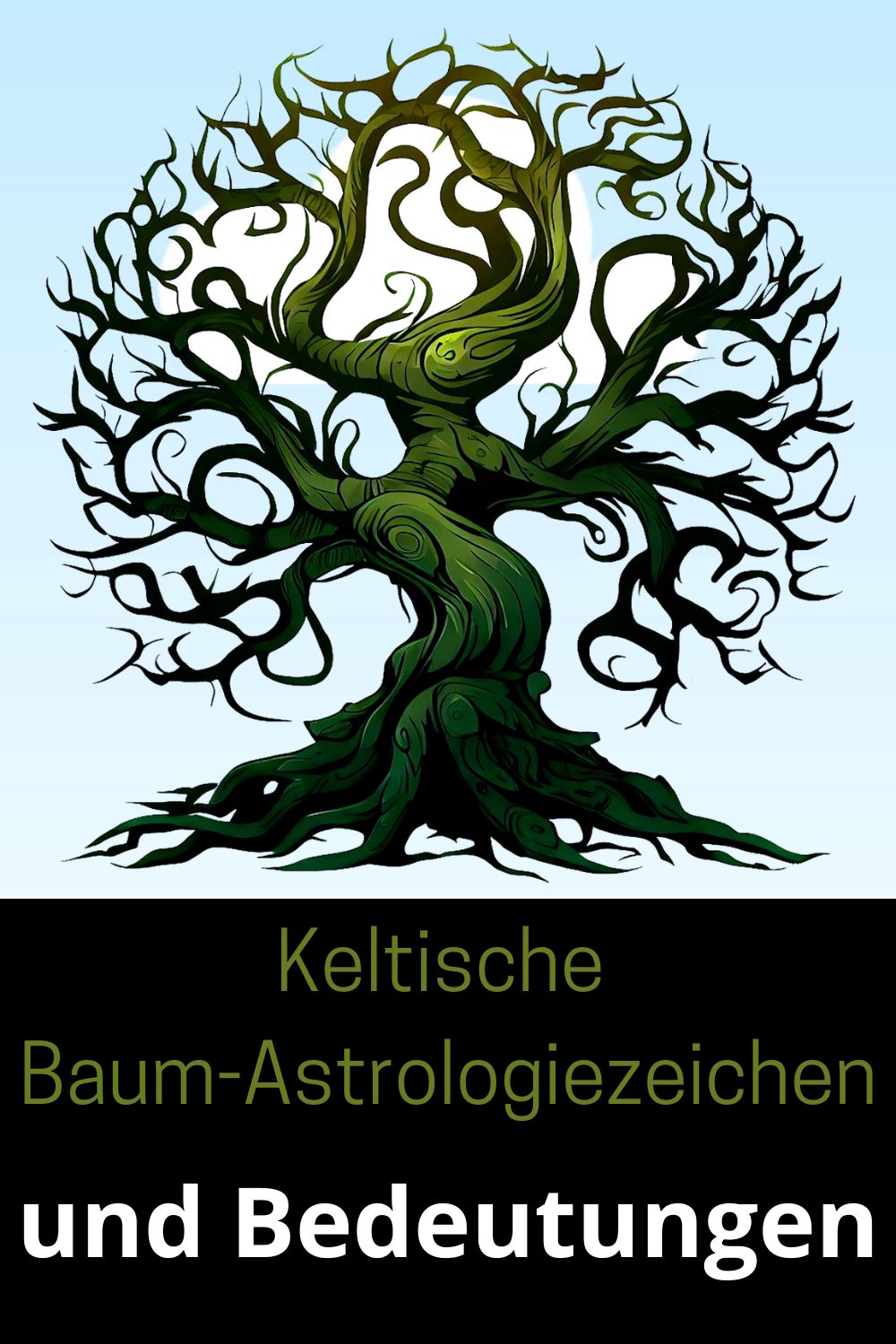 Keltische-Baum-Astrologiezeichen-und-Bedeutungen