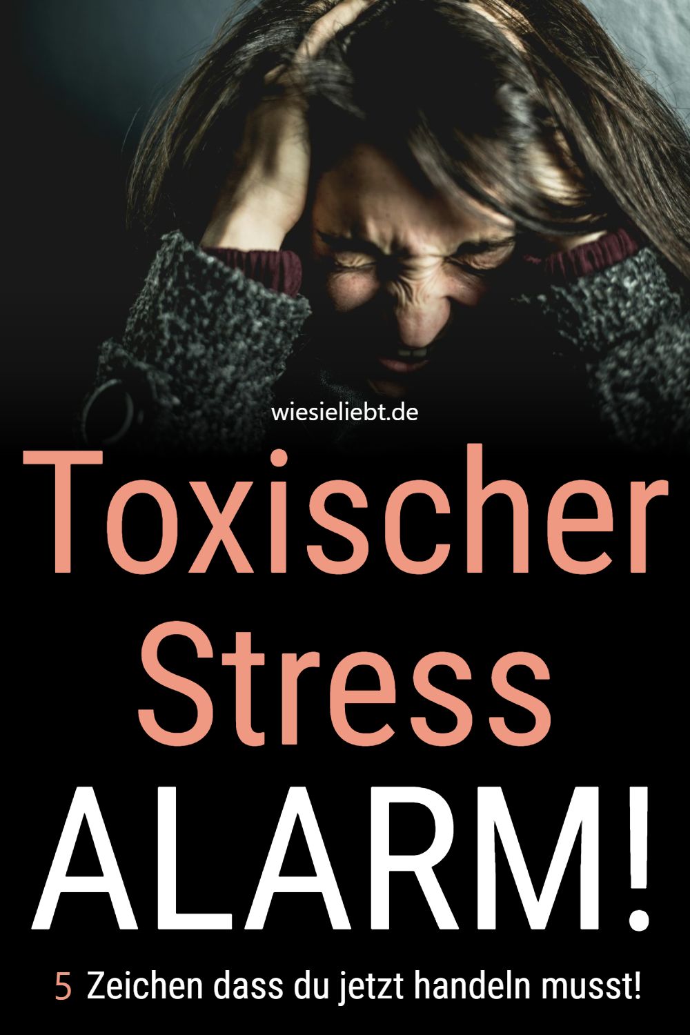 Toxischer Stress ALARM! 5 Zeichen dass du jetzt handeln musst!