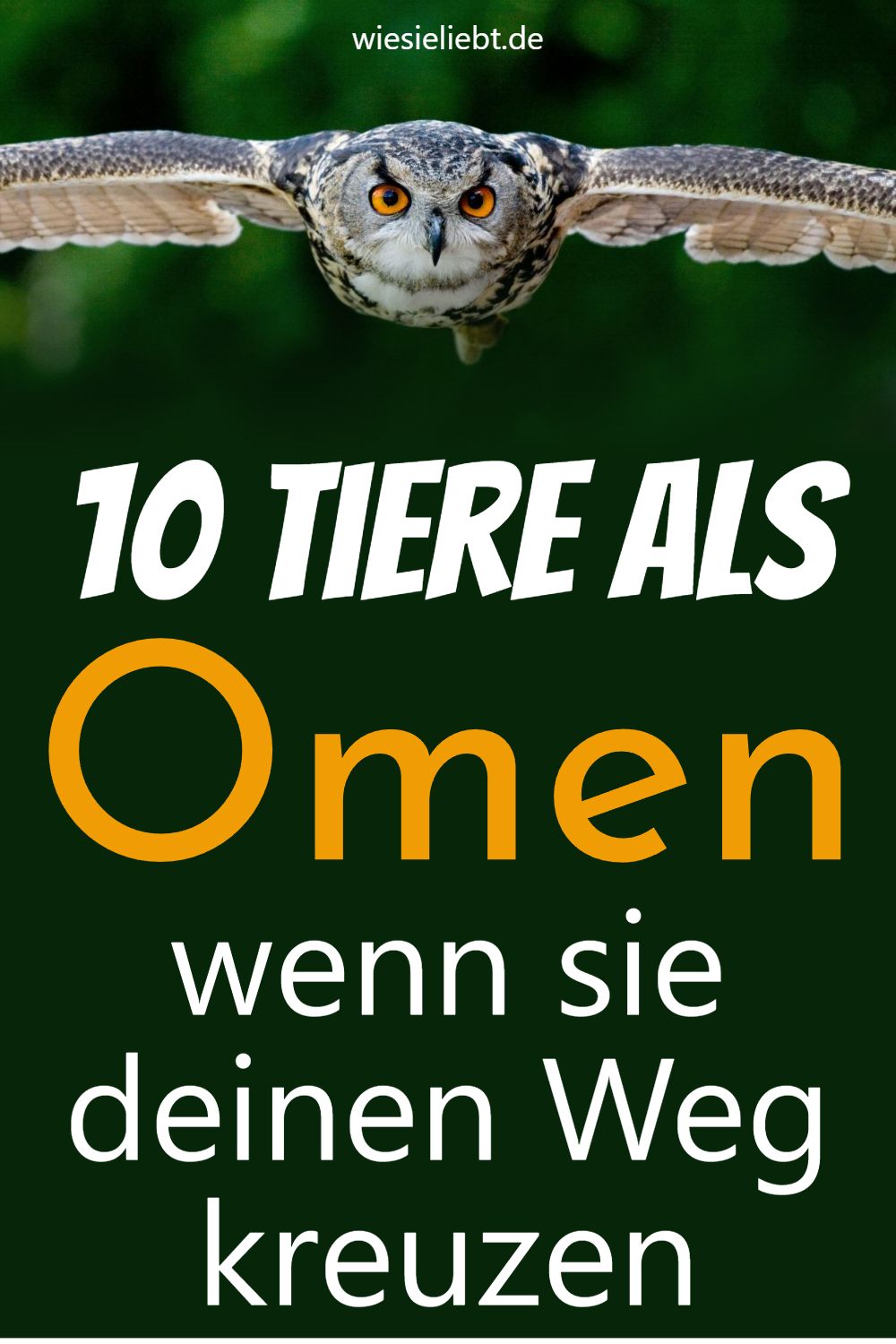 10 Tiere als Omen wenn sie deinen Weg kreuzen