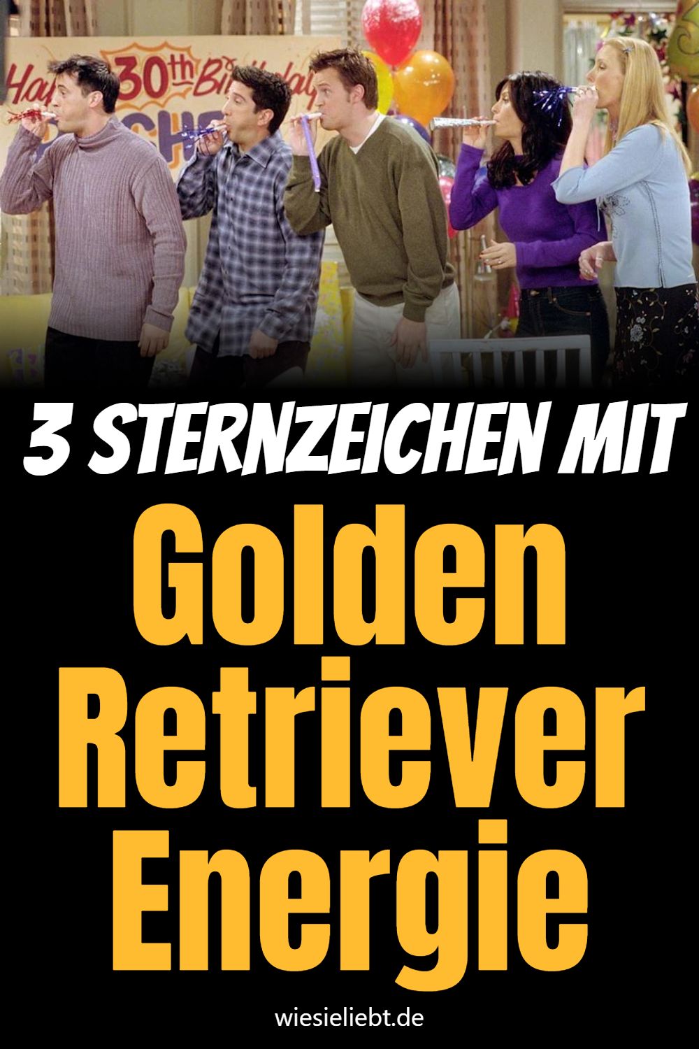 3 Sternzeichen mit Golden Retriever Energie