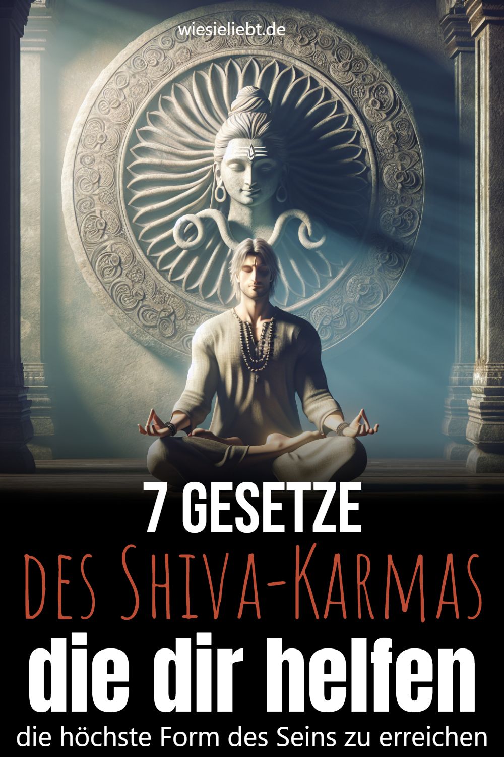 die dir helfen die höchste Form des Seins zu erreichen 7 Gesetze des Shiva-Karmas