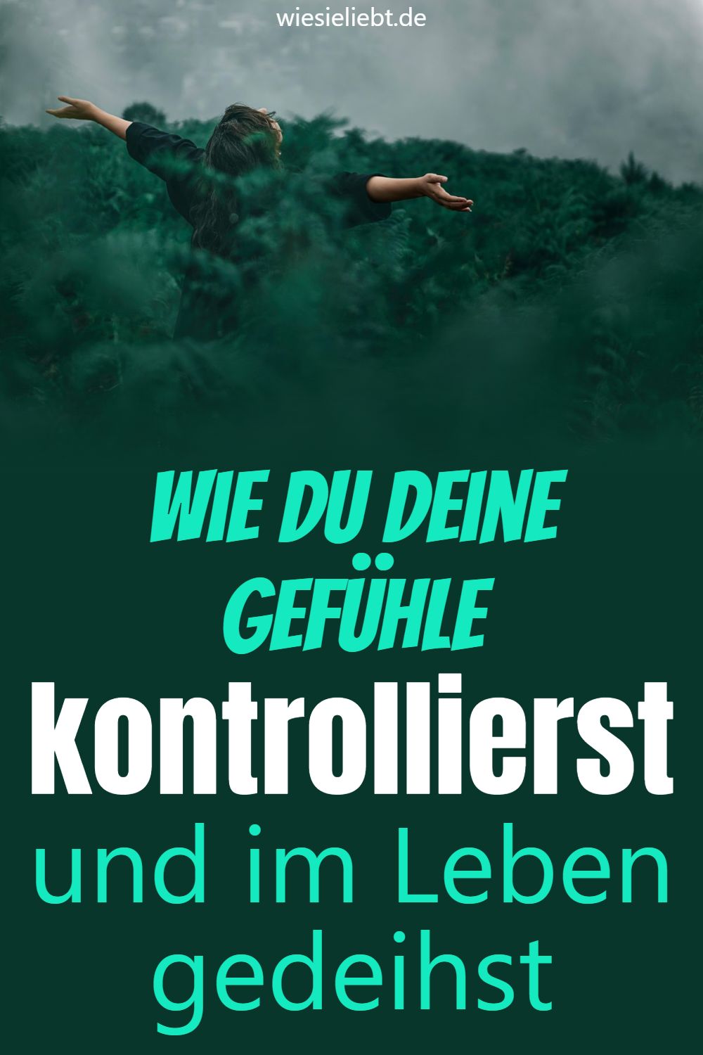 Wie du deine Gefühle kontrollierst und im Leben gedeihst