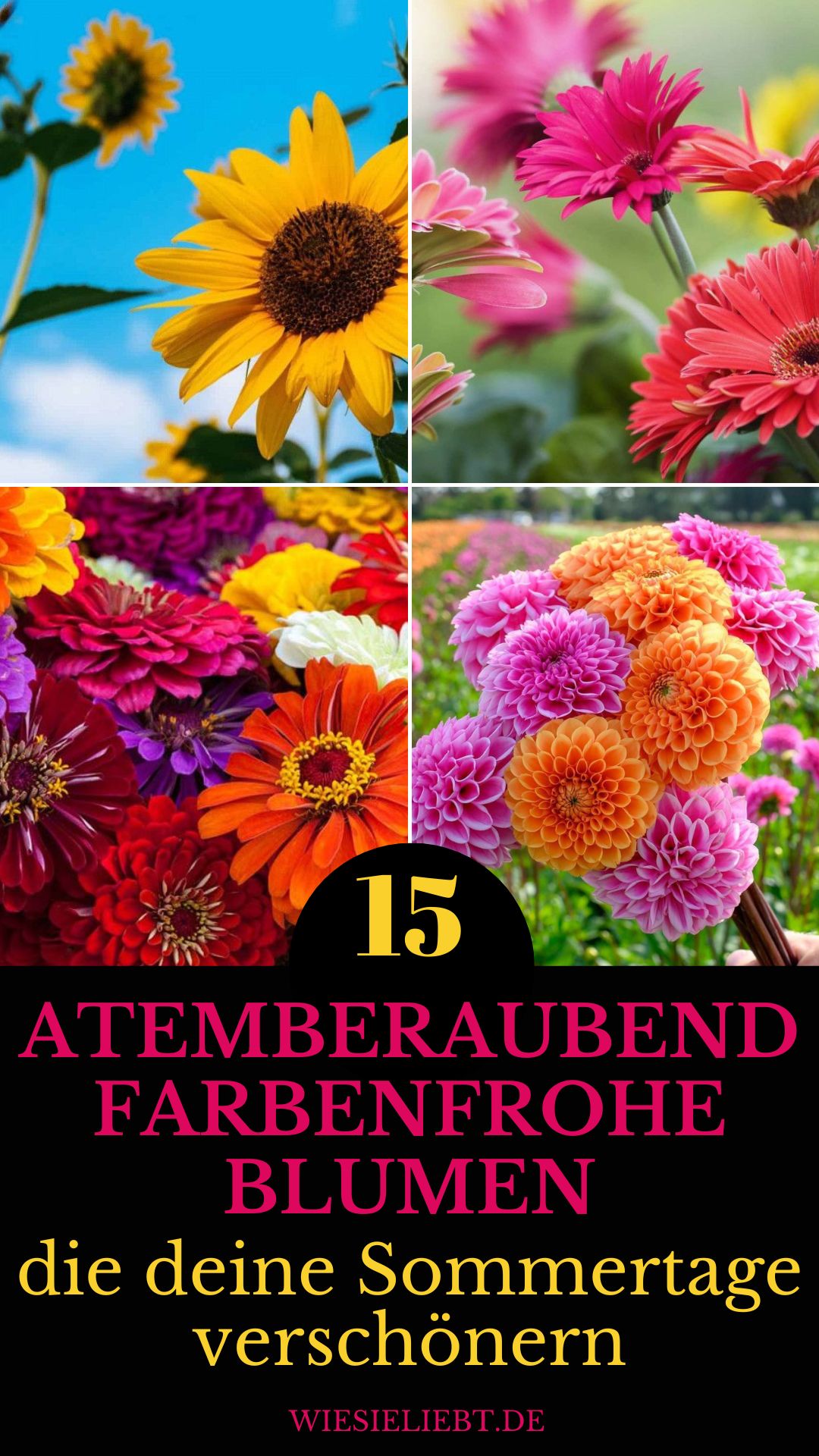 15-atemberaubend-farbenfrohe-Blumen-die-deine-Sommertage-verschoenern