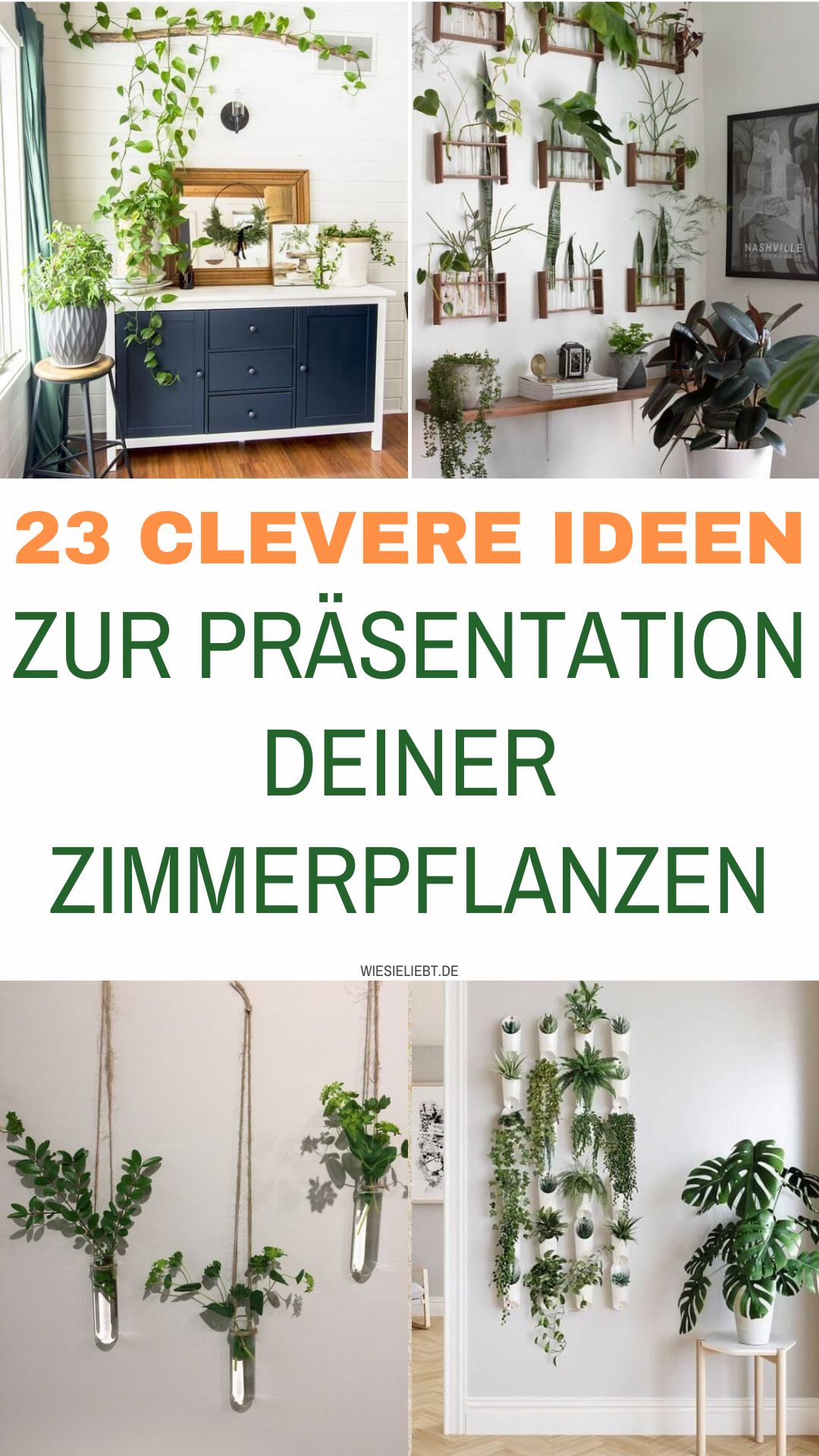 23-clevere-Ideen-zur-Praesentation-deiner-Zimmerpflanzen