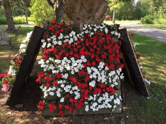 Blumenbeete um einen Baum