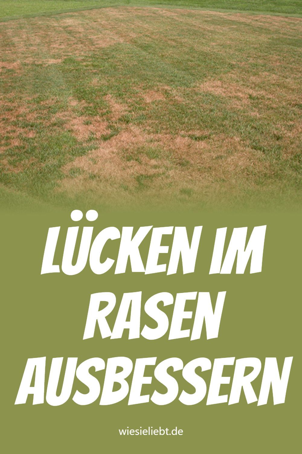 Lücken im Rasen ausbessern