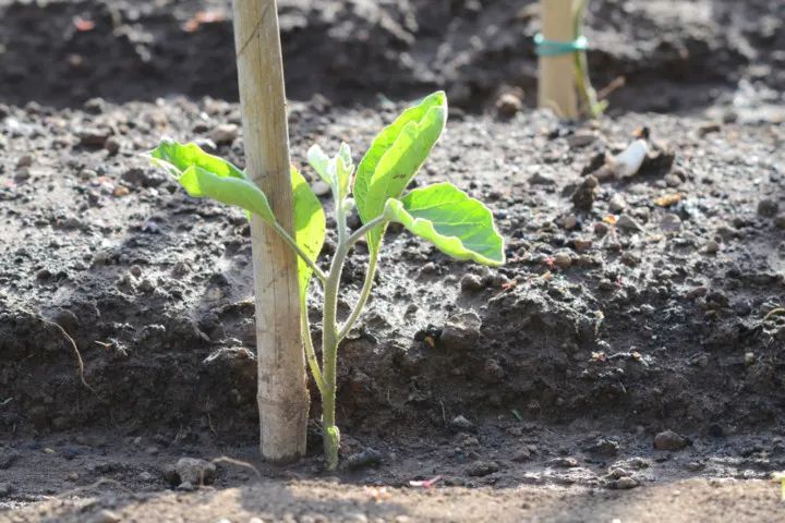 Sonnenschein und persönlicher Freiraum