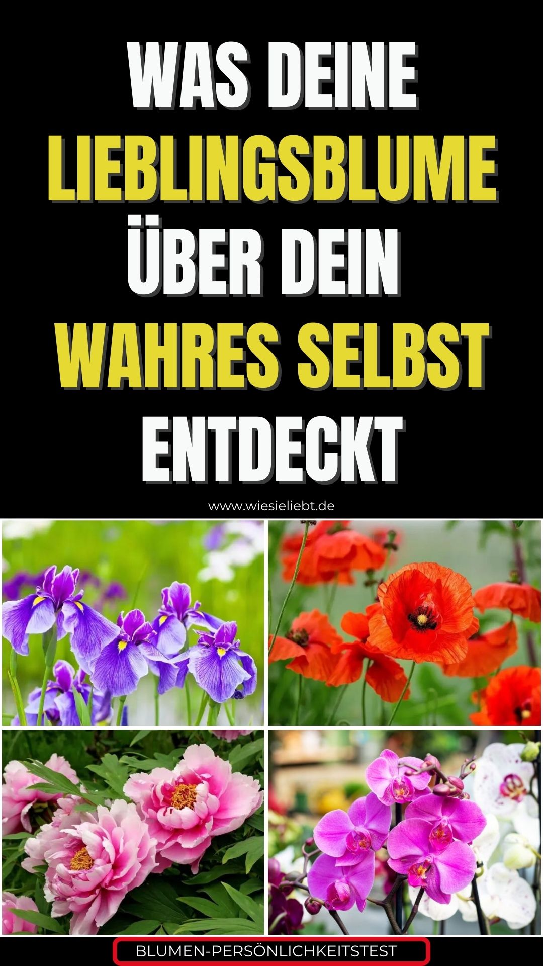 Was-deine-Lieblingsblume-ueber-dein-wahres-Selbst-entdeckt