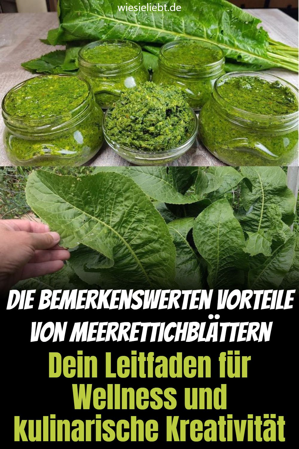 die_bemerkenswerten_vorteile_von_meerrettichblaettern__dein_leitfaden_fuer_wellness_und_kulinarische_k