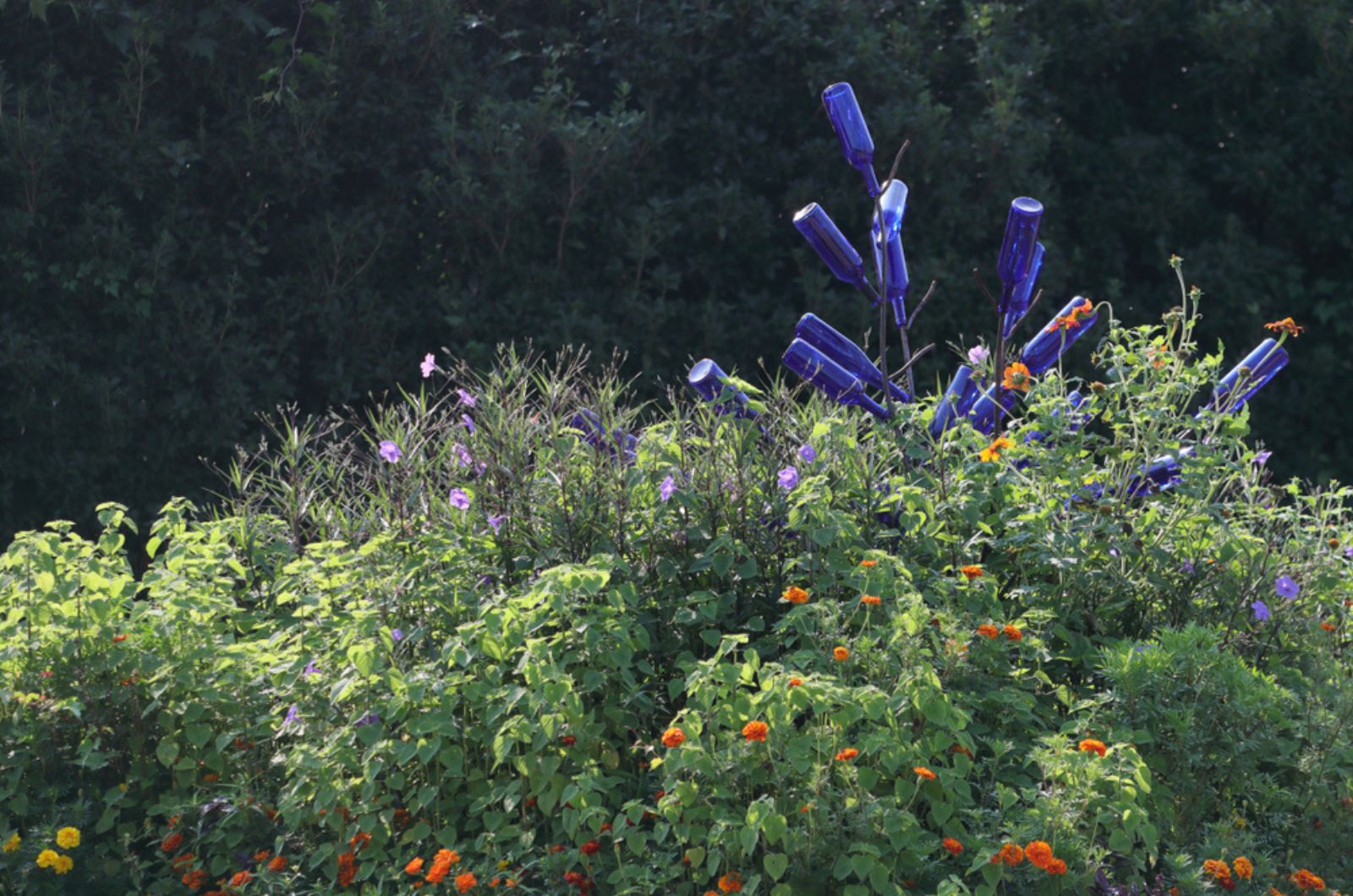 The many different beauties of a botanical garden