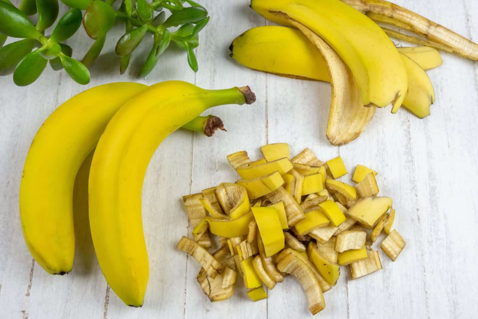 Andere Verwendungsmöglichkeiten für Bananenschalen im Garten