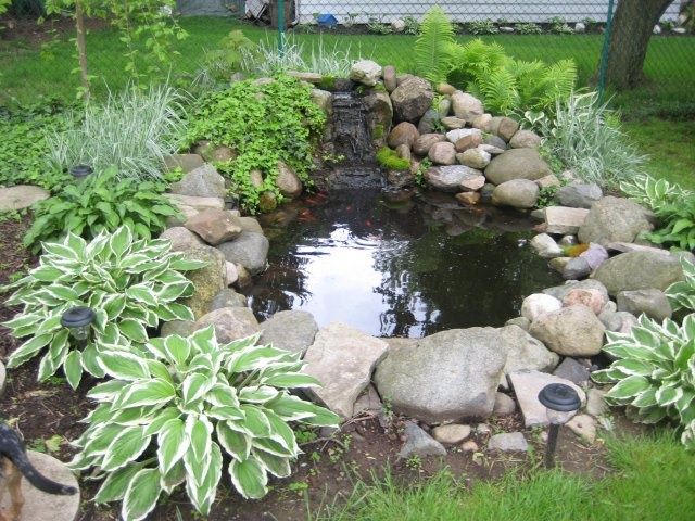 Dekoriere deinen Garten mit einem niedlichen kleinen Teich