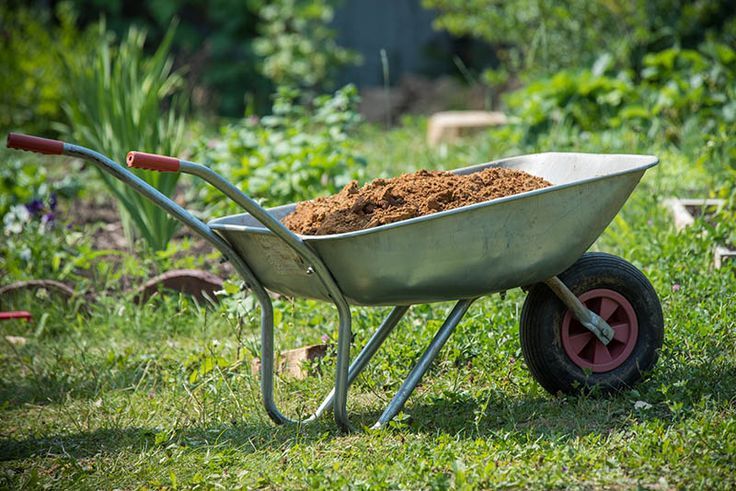 Unverzichtbare Ausrüstung für den Transport deiner Gartenmaterialien